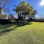 IMG_8087